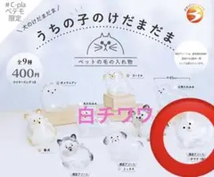 うちの子のけだま チワワ　カプセルトイ　シープラペテモ限定