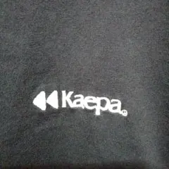 メンズ Tシャツ