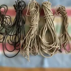 Item thumbnail for item 7062ea44-07c6-4155-ae37-c3d7571d325b