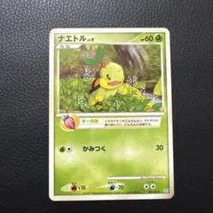 ナエトル PROMO PPPプロモーションカード 001/DP-PPP ナエトル PROMO PPPプロモーションカード 001/DP-PPP - メルカリ