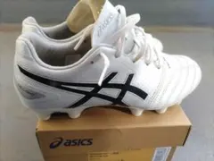 アシックス DS LIGHT ADVANCE WIDE 24.0cm