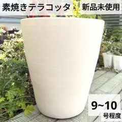2026年最新】植木鉢 大型 テラコッタの人気アイテム - メルカリ