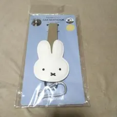 Item thumbnail for item 14fbd1c8-ee66-4e1f-98d4-93b00d44fb6f