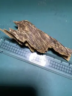 2025年最新】伽羅 香木 沈香の人気アイテム - メルカリ