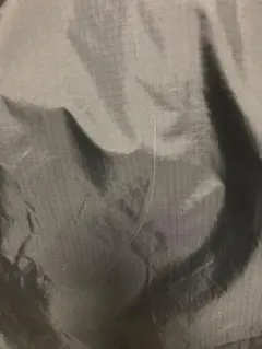 商品確認用ページ
