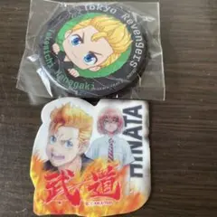 東京卍リベンジャーズ 花垣武道