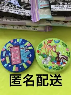ディズニー刺繍缶バッチ2点セット