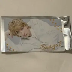 Item thumbnail for item 54f16b75-66ad-44ea-b4c4-63a305044a50