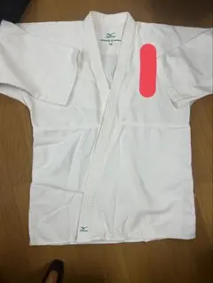 Item thumbnail for item 652d78ac-9d9a-4a4b-8d98-81199980c116