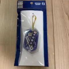 サッカー日本代表 プレーヤーズ パッケージ付きフレークシール　中村敬斗選手 13