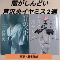 芦沢央 文庫本2冊セット｜罪の余白・汚れた手をそこで拭かない