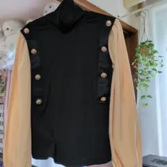 Item thumbnail for item 6f7a86d5-ad21-482f-a4ef-5f0e7a433031