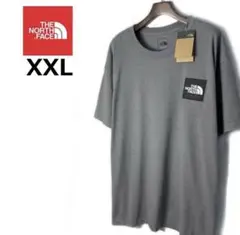 ノースフェイス 海外限定　日本未発売　BOXロゴ刺繍　グレー　Ｔシャツ　XXL