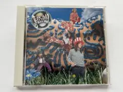 Jellyfish / Bellybutton