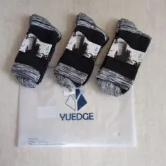 Item thumbnail for item 6d434144-cedc-4c3e-9b62-108251a3c850