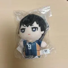 2026年最新】ハイキュー ちみっともぬい vol.1の人気アイテム - メルカリ