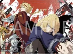 音*々様 Fate strange Fake アニメイト購入特典 小冊子・リーフ - メルカリ