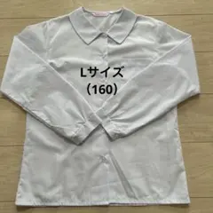 Item thumbnail for item 563e172f-741f-4e46-b9e3-af8268e11a30