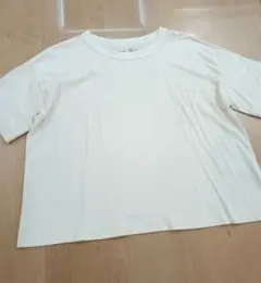 ネストローブ nest Robe コットン ワイド カットソー Fのサムネイル