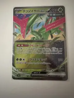 ポケモンカード テツノイサハex