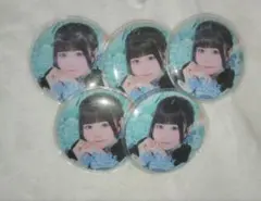 虹羽みにグッズまとめ売り メルカリ - 2026年最新】虹羽みにの人気アイテム アイドル
