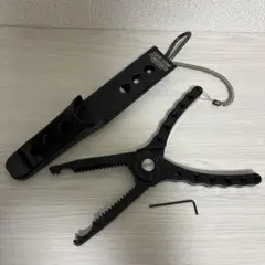 Item thumbnail for item 19a4976d-2da7-43e8-aeef-fe09619a1814