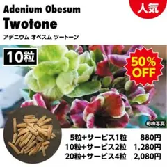 mk様 リクエスト 2点 まとめ商品