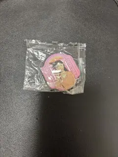 くら寿司　びっくらポン　名探偵コナン マグネットシート 毛利蘭　世良真純