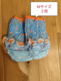 Item thumbnail for item 44853b86-8952-47b0-b7f0-cfb9f355445f