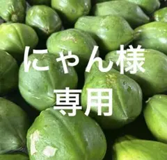 青パパイヤ⭐️5キロのサムネイル