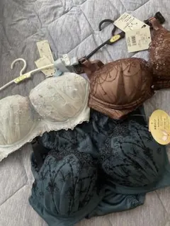 E65チュチュアンナ 刺繍ブラジャーショーツセット ブラ単品