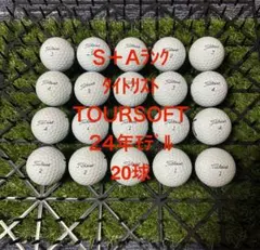 S02】Titleist VG3 白 年式混合 ロストボール 24球 - メルカリ