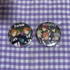 あんスタ スタライ 特典 缶バッジ 2wink Knights
