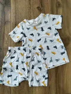 Item thumbnail for item 2c4f1331-10e9-46fa-b3a4-855261c4dbb7