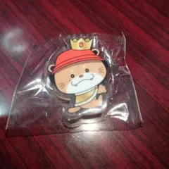 三代目J Soul Brothers　NAOTOさんフラッグアクセサリー新品