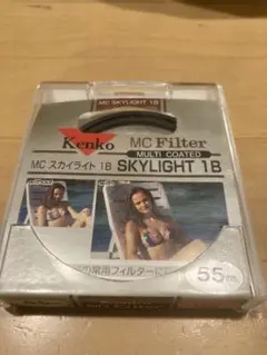 Item thumbnail for item fe8d0749-b263-4150-9995-602a06f33c35