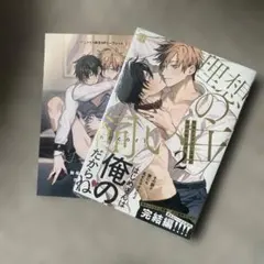 職場のイケメン営業は理想の飼い主様2巻アニメイトリーフレット付き