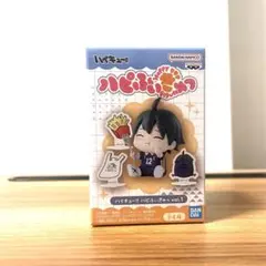 ハイキュー!! ハピふぃぎゅっ vol.1 山口忠