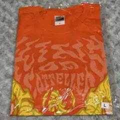 2点セット 南なつ タオル Tシャツ 推しアピ CANDYTUNE 新品未開封
