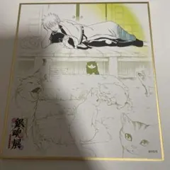 銀魂展 色紙 坂田銀時