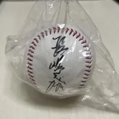 Item thumbnail for item 8e32c3b3-545a-47a2-9207-6ab4952bb46c