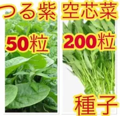 断捨離頑張るくん。様 リクエスト 2点 まとめ商品