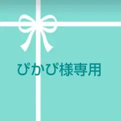 ぴかぴ様専用ページです！
