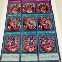 白き森9枚セット