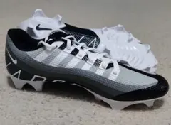 Item thumbnail for item 51bbaec0-1d43-42d1-9fad-eaae12dd7377