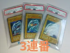 青眼の白龍 シークレット 海馬セット PSA9 3連番 シクブル