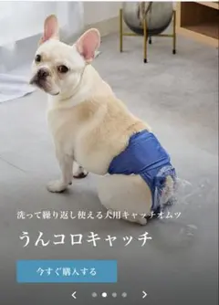 2026年最新】うんコロキャッチ lの人気アイテム - メルカリ