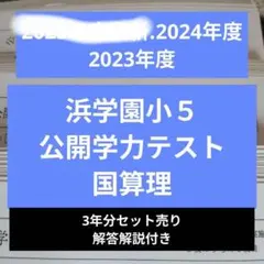 2026年最新】浜学園 小5 公開学力テストの人気アイテム - メルカリ