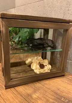 もっち様専用ページ