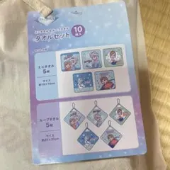 【新品】アナと雪の女王　ミニタオル ＆ループタオル　10枚セット　タオルセット